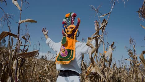 aya huma dancing in the cornfield