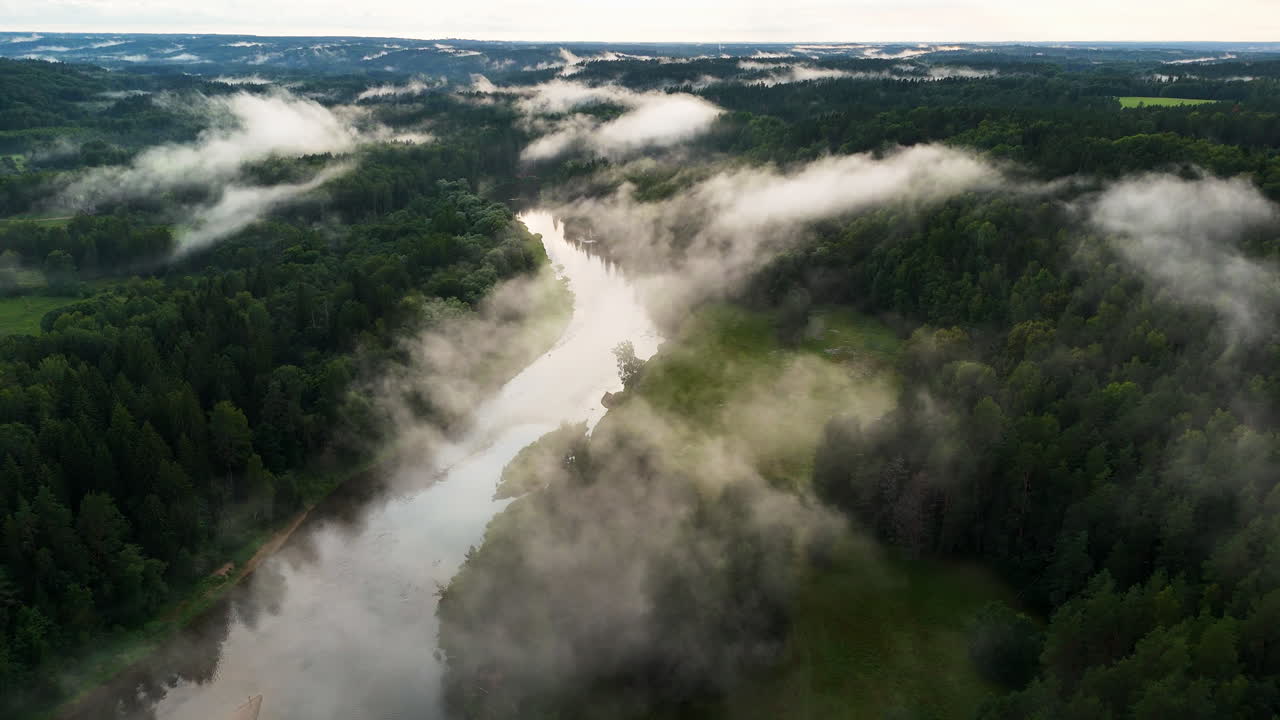 Vistas Aéreas Espetaculares do Parque Nacional de Gauja, Letônia; Bela Névoa Branca Evaporando Sobre o Vale do Rio e o Ecossistema de Zonas Húmidas
