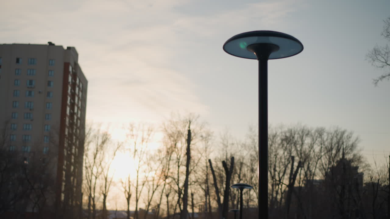 Close up of modern street lamp captured during golden hour with sunlight casting warm glow over bare trees and tall residential building in background under clear sky