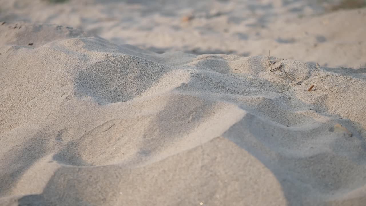 Pile of Sand on the Beach