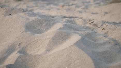 pile of sand on the beach