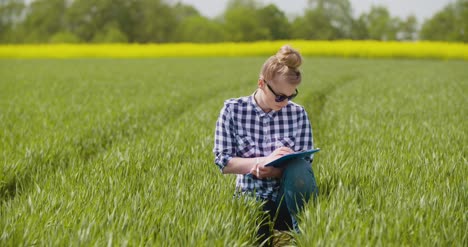 agriculture female farmer examining young wheat field 2