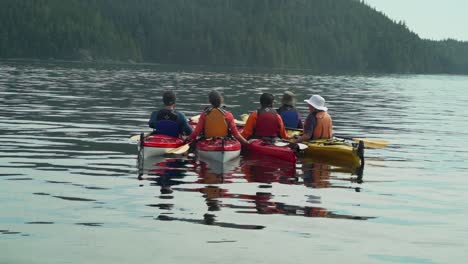 Manada-De-Kayakistas-En-El-Océano-Viendo-Ballenas