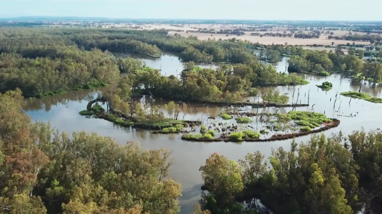 Drone view of the swollen Murray River and forests upstream of Lake Mulwala, Australia. November 2021.