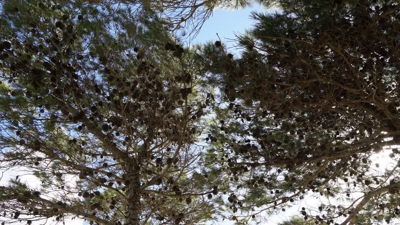 來自馬耳他, 塞爾蒙地區的timalapse視頻