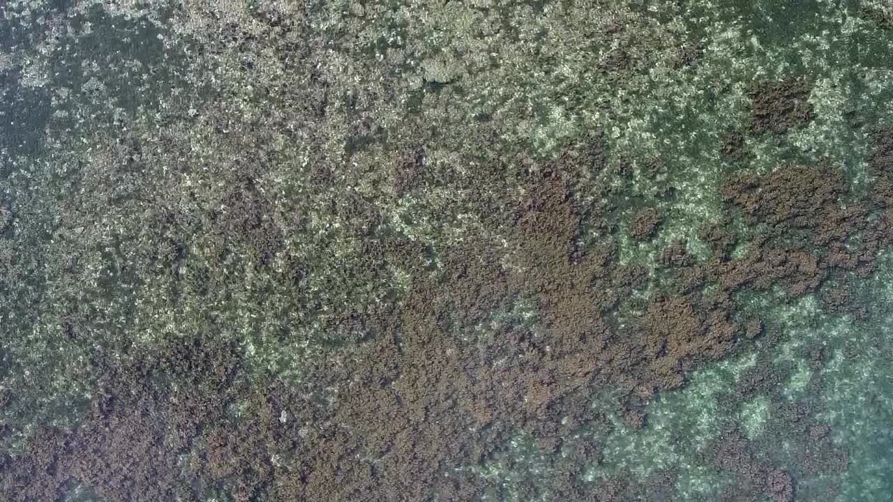 video aéreo de drones de una exótica isla tropical de arena blanca en el sudeste asiático