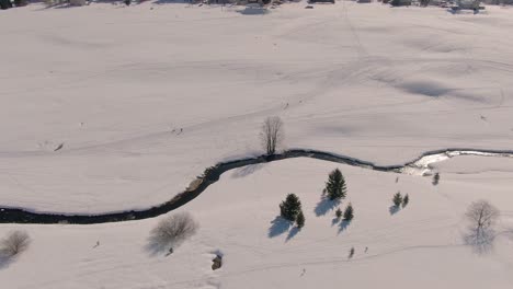 Aerial orbit drone shot of a tree next to a river in a snowy landscape