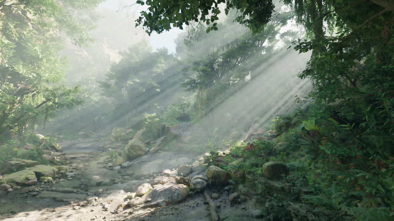 울창 한 정글 숲 의 빛