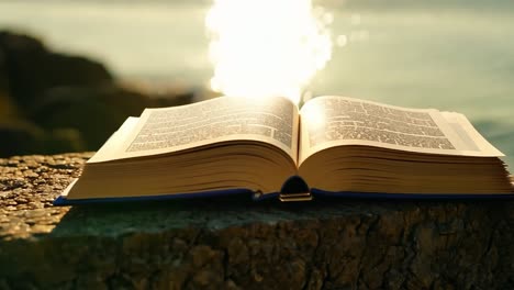 open book with yellowed pages sits on a rock by the water, gently turning its pages in the breeze