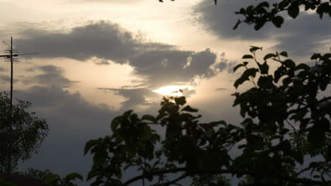 Escena-De-La-Naturaleza-Nocturna-Con-árboles-Y-Cielo