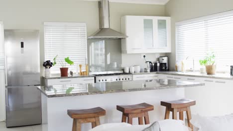 house interior of kitchen with plants and table in middle