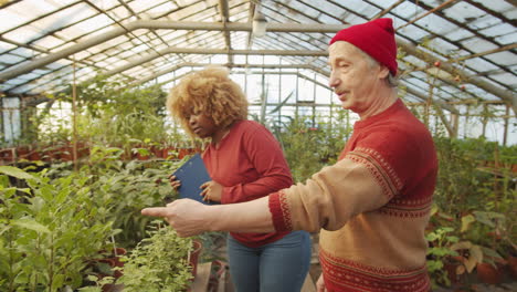 senior man and young woman working together in flower greenhouse