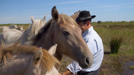 Happy-cowboy-with-his-herd-of-horses-in-southern,-France