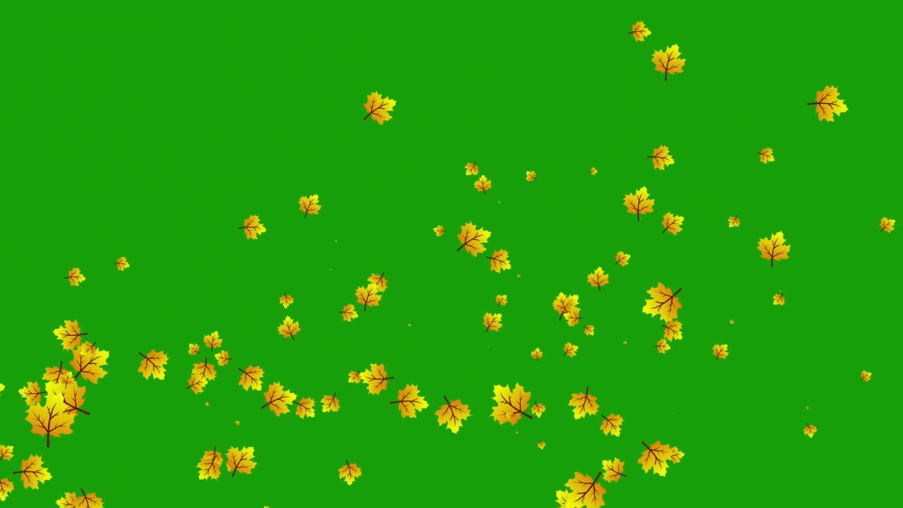 Foglie d'acero autunnali che cadono su sfondo green screen