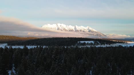 Un-Recorrido-Aéreo-Al-Atardecer-Por-Un-Bosque-Nevado-En-Las-Montañas-Rocosas-Canadienses