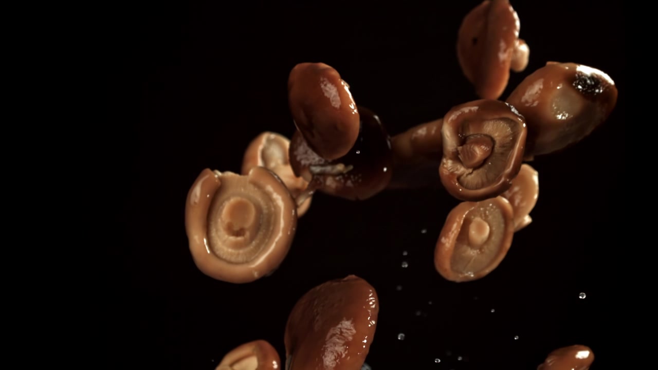 Frische Shiitake-Pilze fliegen in Zeitlupe vor schwarzem Hintergrund