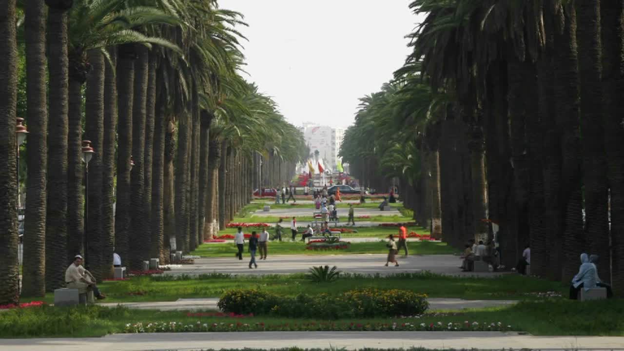 таймлапс автомобилей и пешеходов, проходящих через двор, окруженный пальмами