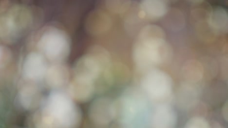 abstract summer background with bokeh