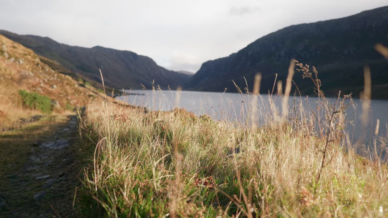 Grass blows gently in the wind in golden sunlight next to a path, set against the backdrop of a dark Scottish glen and a large sea loch surrounded by tall mountain cliffs