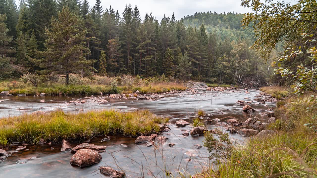 Low clouds whirl above the shallow mountain river and a pine forest