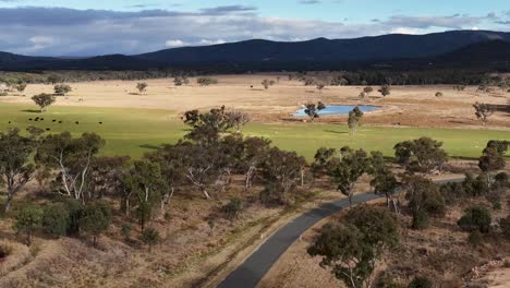 drone camera smoothly flies over a rural landscape with a pond, winding road, scattered trees, and distant farm buildings under natural daylight