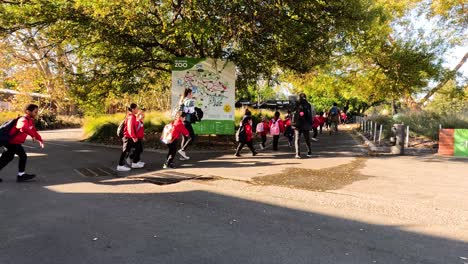 children and adults walking together at the zoo