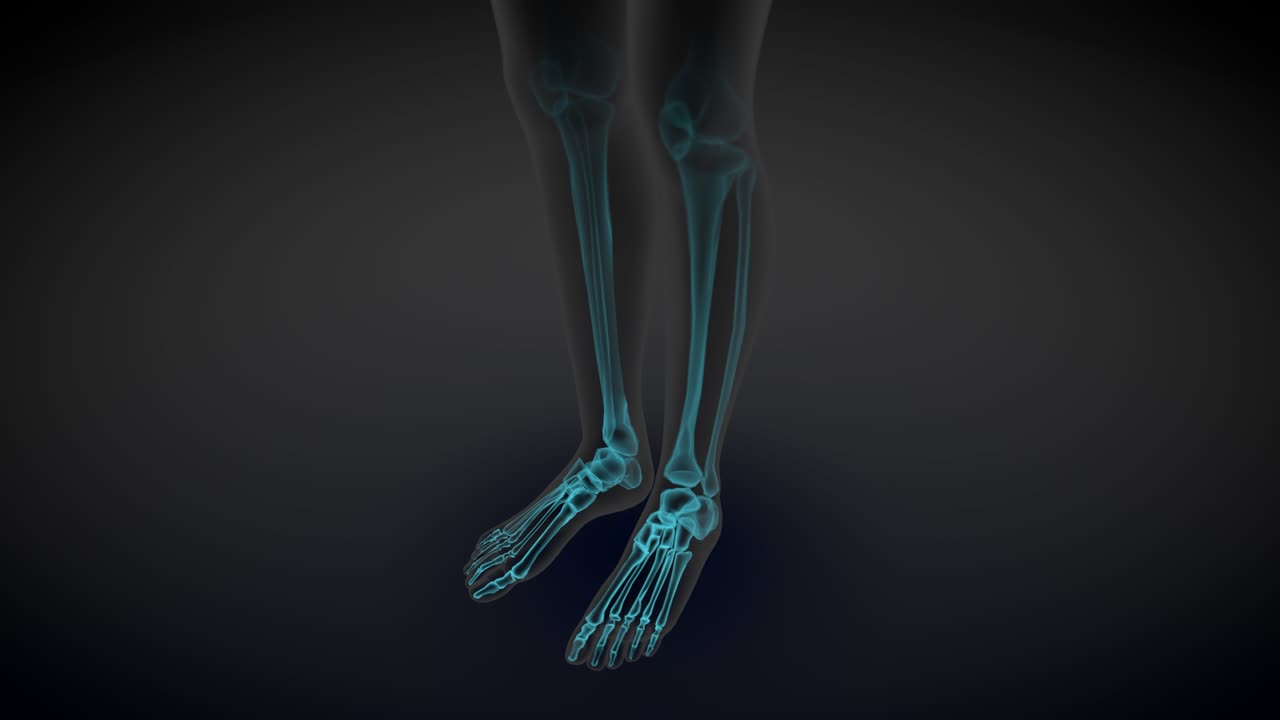 여성 몸의 측면 뷰 - 골격 와 다양한 내부 기관의 스레이 스캔, 생리학 연구 일러스트레이션 - 4k 60fps uhd