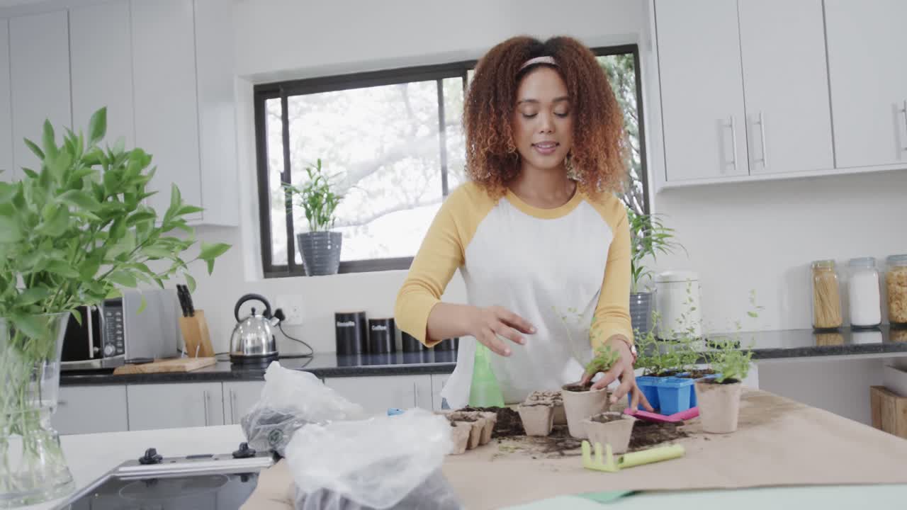 Happy biracial woman planting herbs in kitchen watering seedling in pot, in slow motion