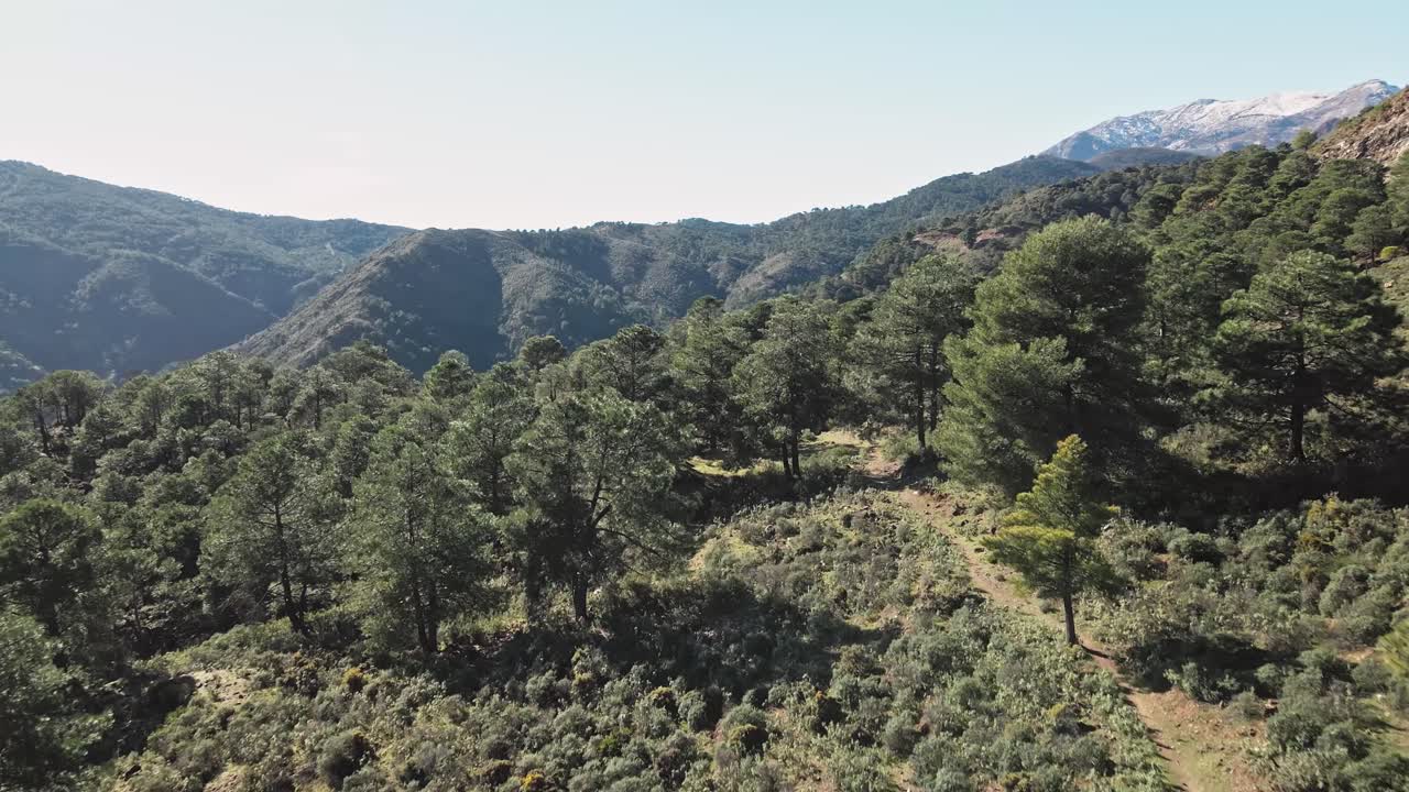 Prospettiva drone della Sierra de las Nieves, Andalusia, Tolox, Spagna.