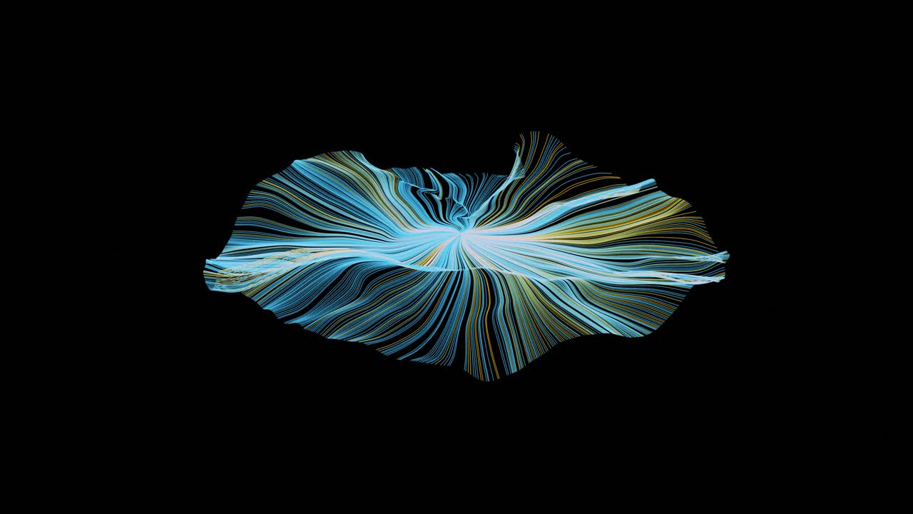 exploding firework on a black background