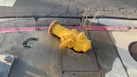 boca de incendios con fugas de gran cantidad de agua