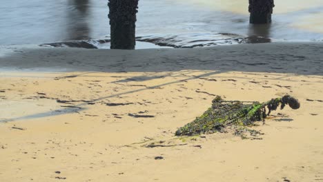 Buried-shopping-cart-,receding-tide-line-and-moving-shadows