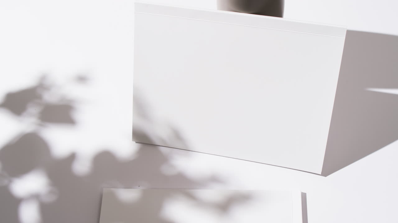 색 배경에 빈  페이지와 복사 공간을 가진 책 위에 식물의 그림자의 비디오