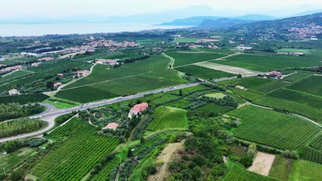 aerial 4k drone shot of vineyards and countryside near lake garda, italy. features green fields, winding roads, and a scenic lake view—ideal for travel or wine-related content.