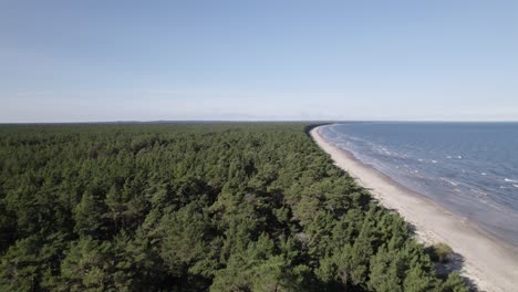 forested beach with stunning white sand and rolling waves, aerial of baltic coastline