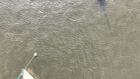 top-down-view-of-sailboats-in-harbor