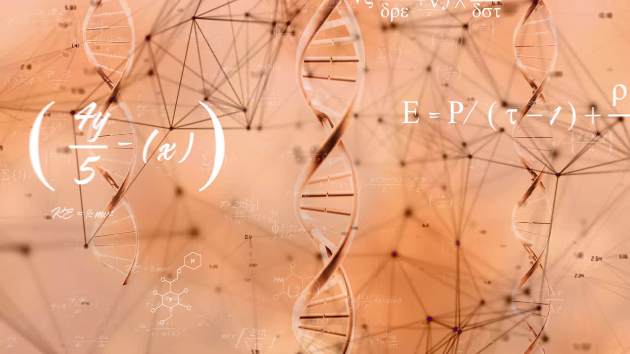 Animation of DNA strands and equations over geometric network background in school