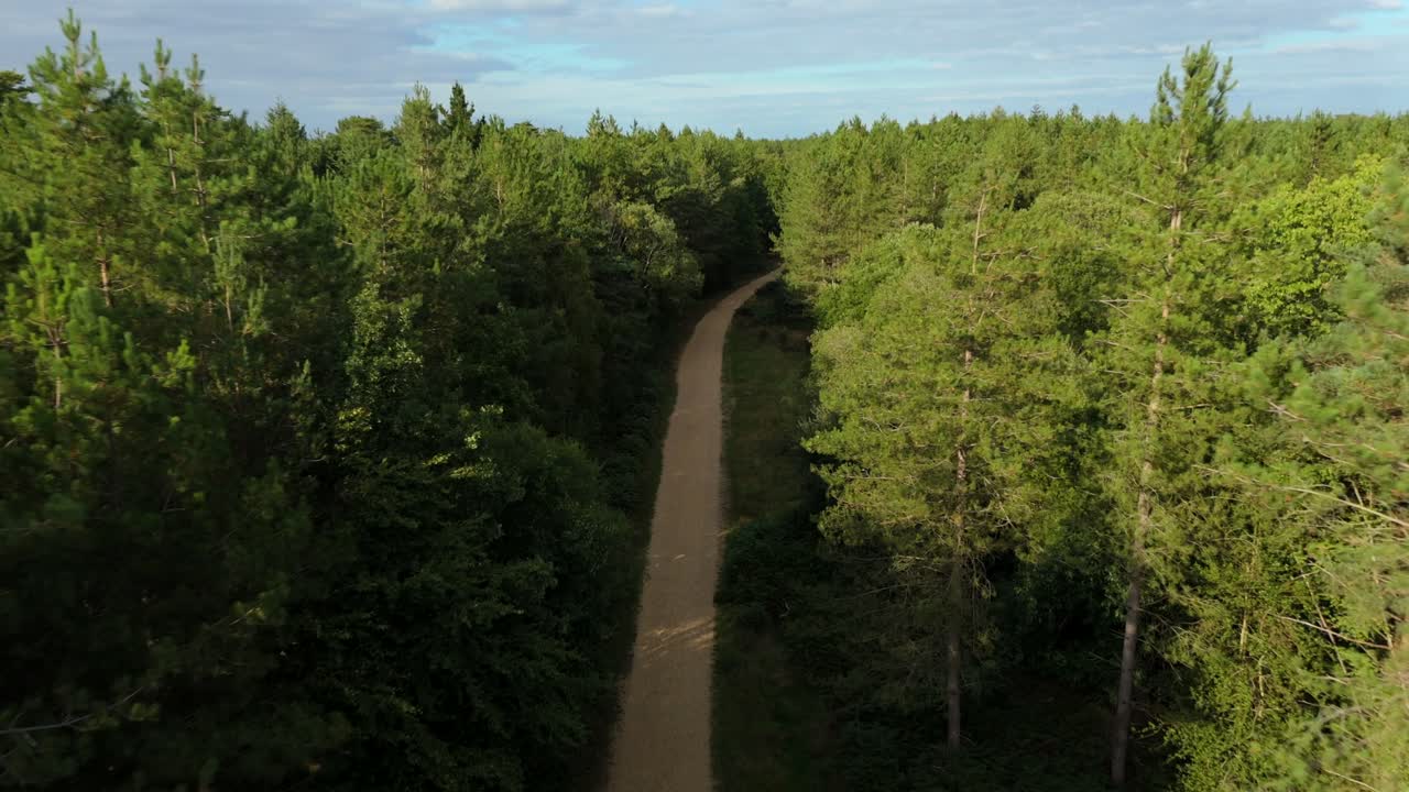 Rural Travel Route, Dense Wooded Environment, Hampshire County in England