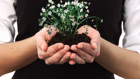 mujer con una planta en la mano
