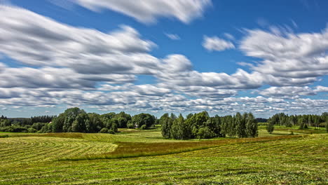 time lapse of green agricultural field with cumulus clouds and blue sky - long exposure motion blur vibe