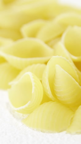 pasta de conchiglie sobre un fondo blanco