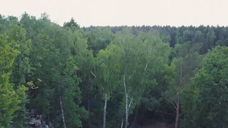 paisaje forestal con puente y gente