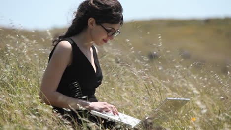 a woman using a laptop sits in a field 1