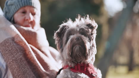 Outdoor,-Entspannung-Und-ältere-Frau-Mit-Hund