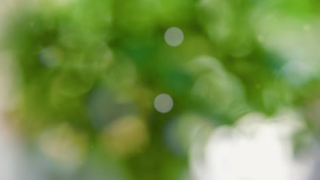 Abstract summer background with bokeh