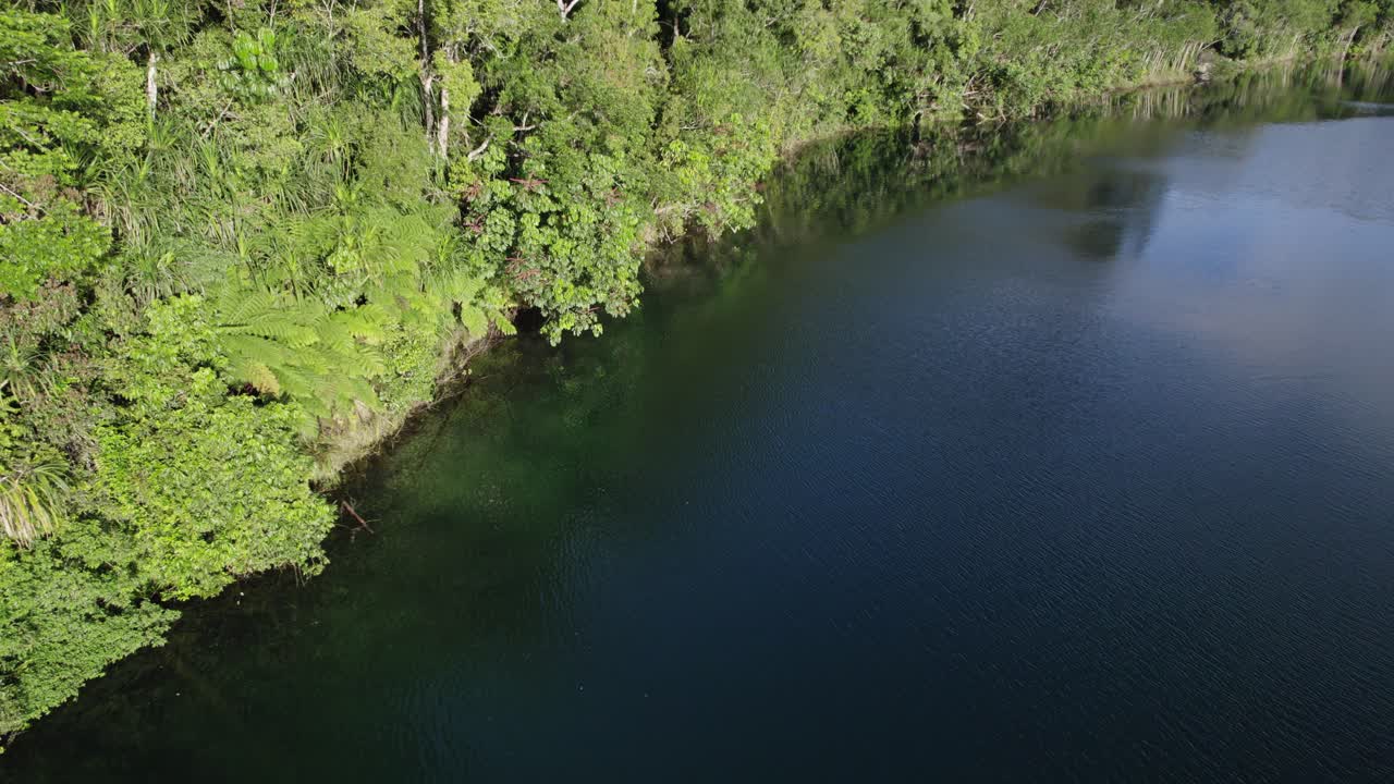 atherton tableland, queensland, australia - drone shot에 있는 호수 eacham의 잔잔한 물 위를 날다