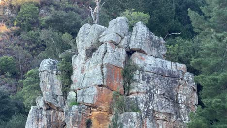 view from constantia mountains towards a cliff face in the middle of the forest