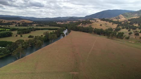 aerial along the goulburn river and over farm paddocks near eildon, victoria, australia