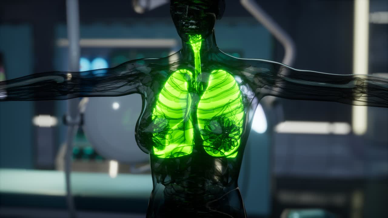 실험실에서의 인간 폐 방사선 검사