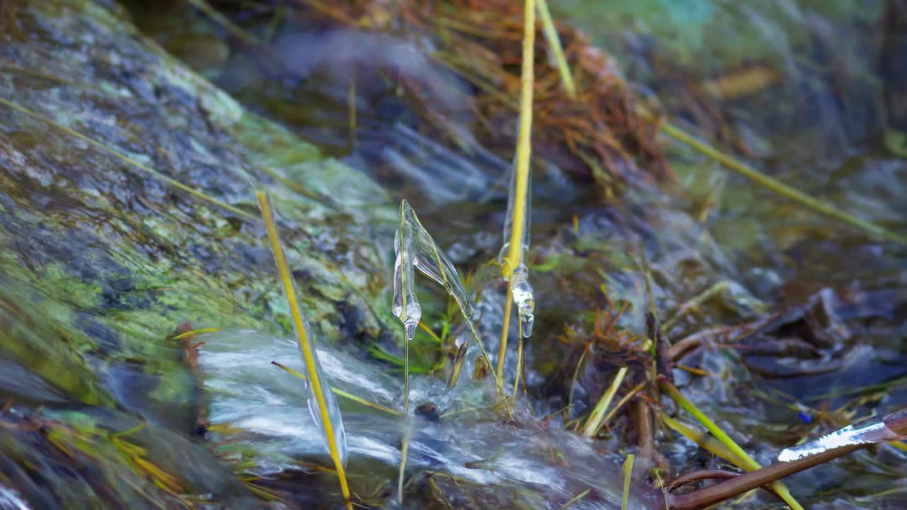Frozen gras inside a waterstream in the swiss mountains.
